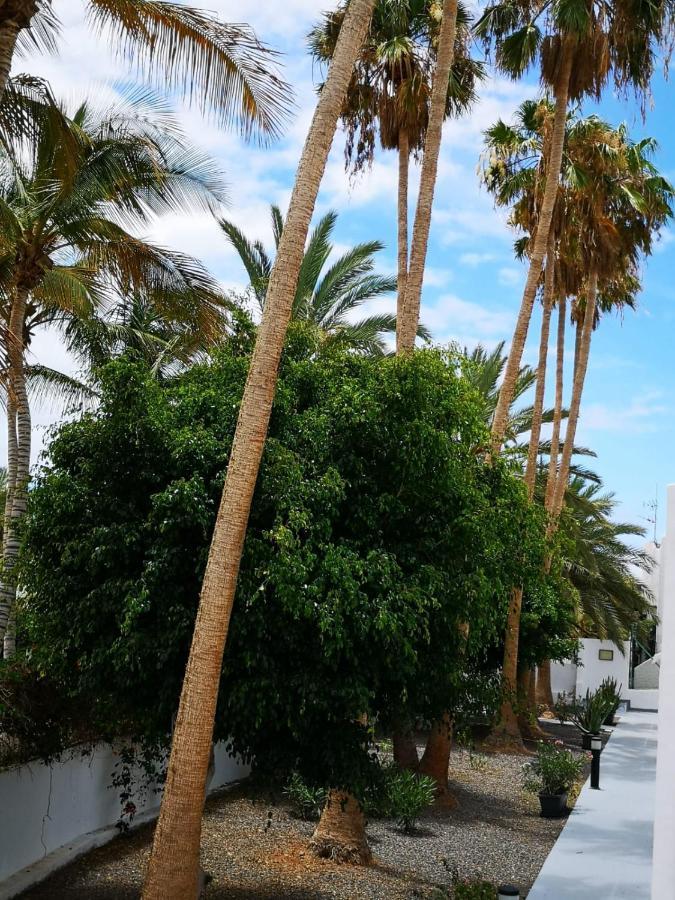 Estrella De Mar Leilighet Tarajalejo Eksteriør bilde